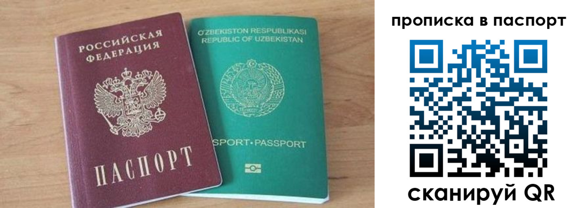 прописка в Вольске